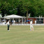 kew-cc-2.jpg