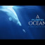 plastic-ocean.jpg