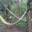 20160510-125735.jpg