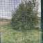 img-4498.jpeg