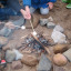 dscf-0641.jpg