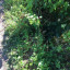 fp-23-phase-2-bankedge-img-3494.jpg