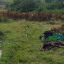 land-clearing.jpg