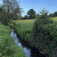 river-1.jpg