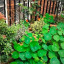 courtyard-2.jpg