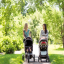 pushchair-path-1-25.jpg
