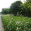 dscn-1713.jpg