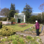 thumb-img-93890-1024.jpg