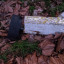 img-20200210-171414-1.jpg