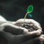 hands-1838658-1920.jpg