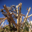 15-4-apr-tot-g-nest-bed-twigs-0243.jpg