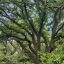 img-2163.jpg
