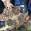 muddy-hands.jpg