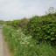 dscn-1727.jpg