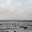 img-1467.jpg
