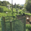 charlea-community-gardens.jpg