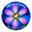 fest-of-peace-3-kt-a.jpg