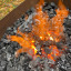 img-0878.jpeg