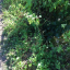 fp-23-phase-2-bankedge-img-3494.jpg