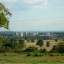 flowering-edgware-9.png