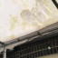 canopy-damage.jpeg