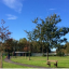 park-and-playground.jpg