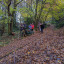 tree-planting.jpg