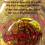 bread-1.jpg