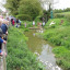 duck-race-1.jpg
