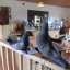 dscn-1034.jpg