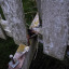 img-20200210-171341-1.jpg