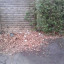 20150316-140015.jpg