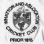 15-07-26-wacc-badge.jpg
