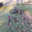 bike-2.jpg
