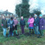 planting-trees.jpg