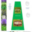 sensory-garden.jpg