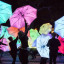 light-night-illuminated-carnival-parade-sept-17-credit-gravity-fields-copy-800-x-450.jpg