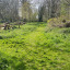 lake-picture-1.jpg
