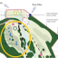 the-carrs-wetland-map.jpg