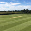 ground-july-2017.jpg