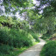 dscf-3170.jpg