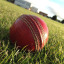 img-1553.jpg