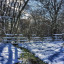 alderbed-winter.jpg