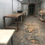man-shed.jpg