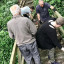 replacing-rotten-boards-on-bridge.jpg