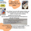 425717313-18224361001265479-148138109426196731-n-feedback.jpg