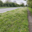 img-0933.jpeg