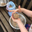 ceed-roker-park-bird-feeders.jpg