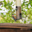 bird-at-fordhall.jpg