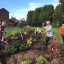 heswall-in-bloom-at-work.jpg
